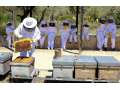 Centre d'interprétation de l'apiculture Muria + Visite de l'espace naturel