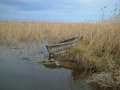 Ruta Senderista a les llacunes del Delta: la Tancada